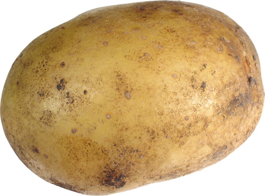 potato